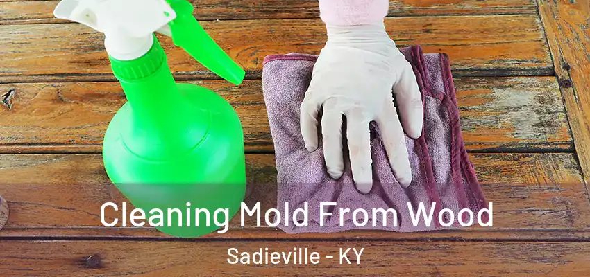Cleaning Mold From Wood Sadieville - KY
