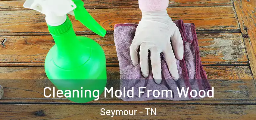 Cleaning Mold From Wood Seymour - TN