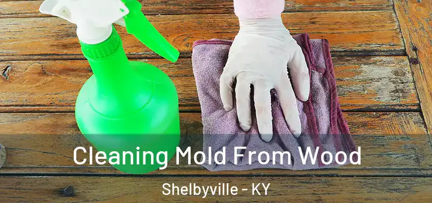 Cleaning Mold From Wood Shelbyville - KY