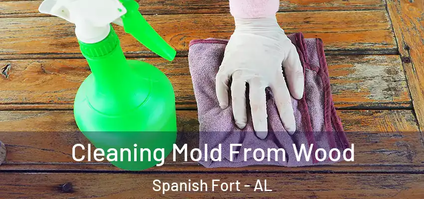 Cleaning Mold From Wood Spanish Fort - AL