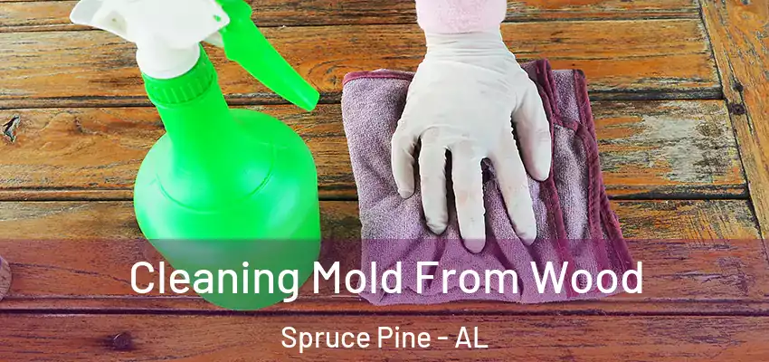 Cleaning Mold From Wood Spruce Pine - AL