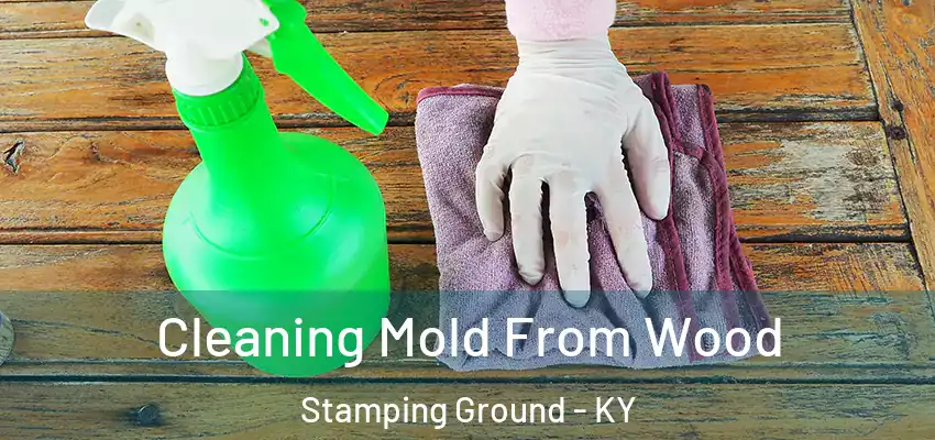 Cleaning Mold From Wood Stamping Ground - KY
