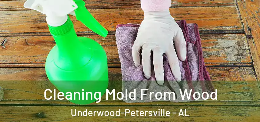 Cleaning Mold From Wood Underwood-Petersville - AL