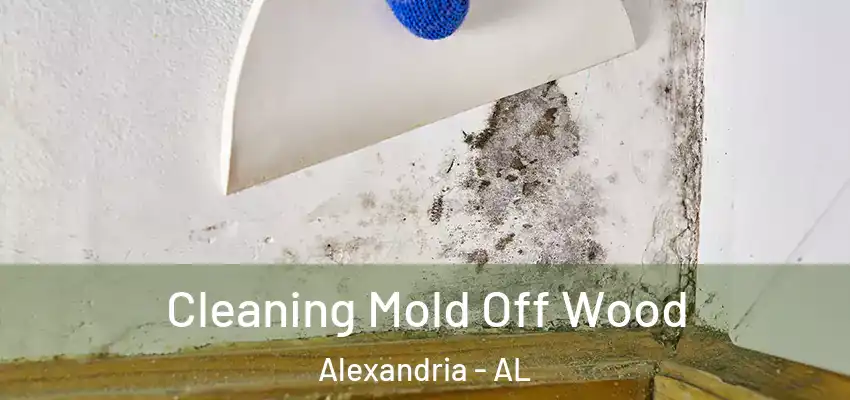 Cleaning Mold Off Wood Alexandria - AL