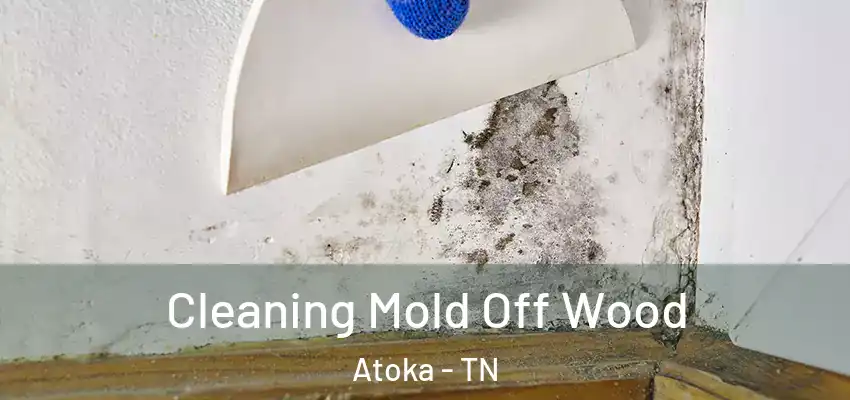 Cleaning Mold Off Wood Atoka - TN