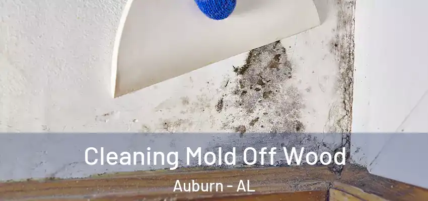  Cleaning Mold Off Wood Auburn - AL