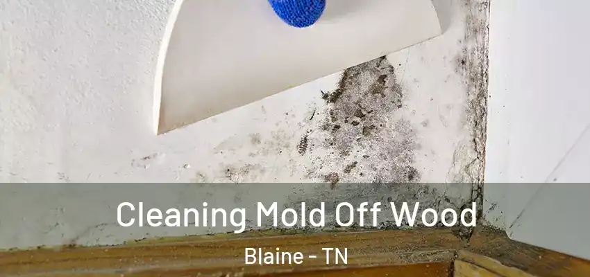  Cleaning Mold Off Wood Blaine - TN