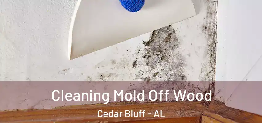  Cleaning Mold Off Wood Cedar Bluff - AL