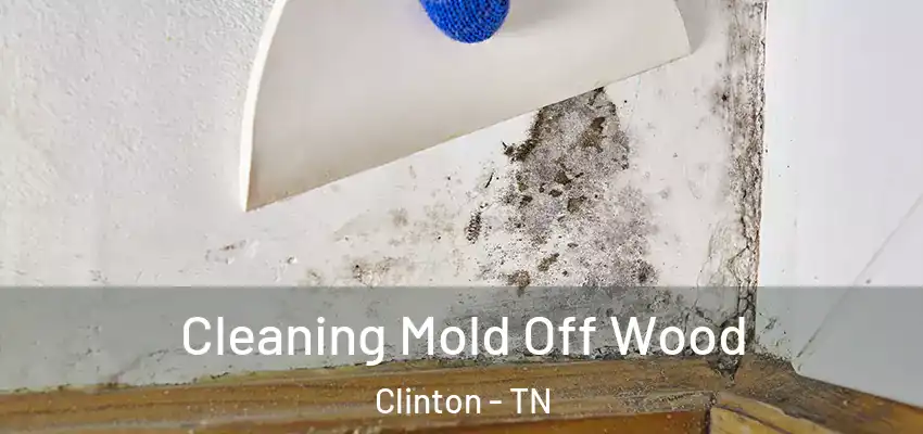 Cleaning Mold Off Wood Clinton - TN