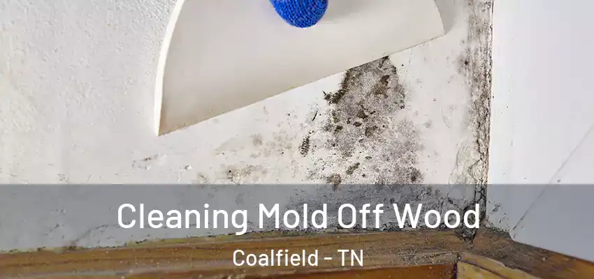  Cleaning Mold Off Wood Coalfield - TN
