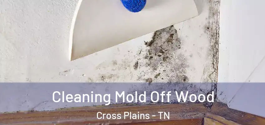  Cleaning Mold Off Wood Cross Plains - TN