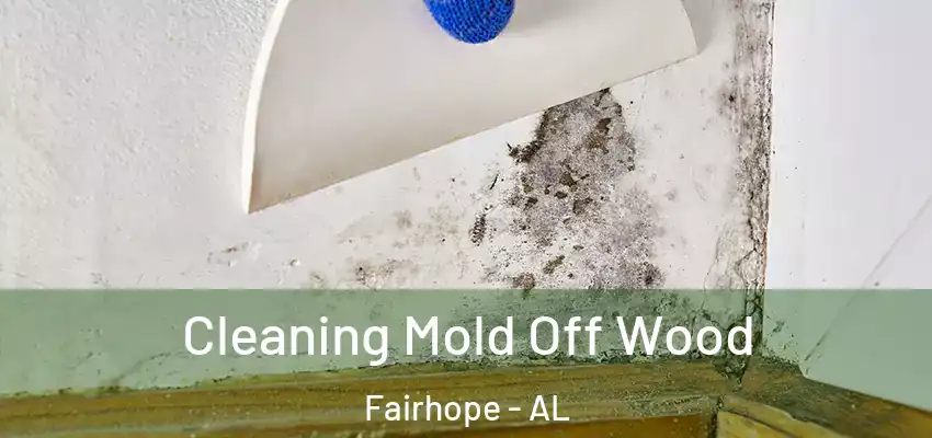  Cleaning Mold Off Wood Fairhope - AL