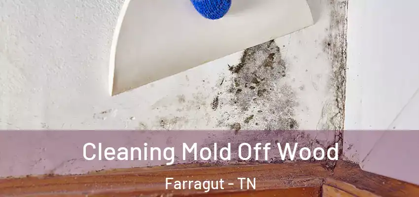 Cleaning Mold Off Wood Farragut - TN