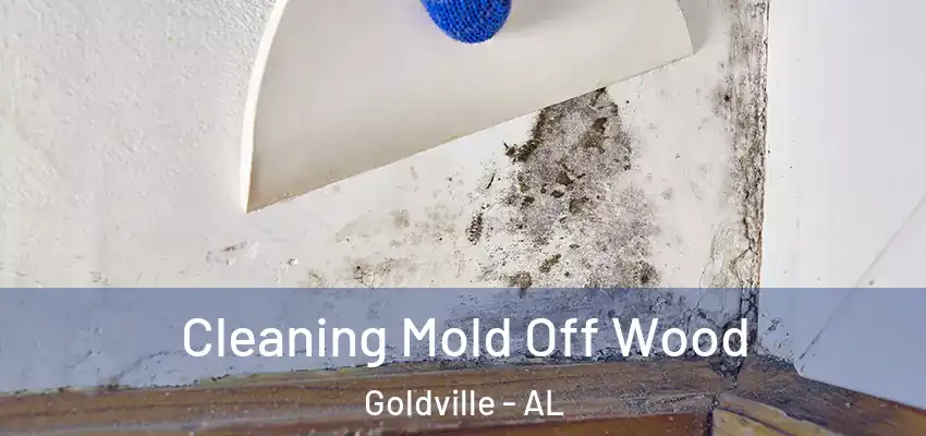 Cleaning Mold Off Wood Goldville - AL