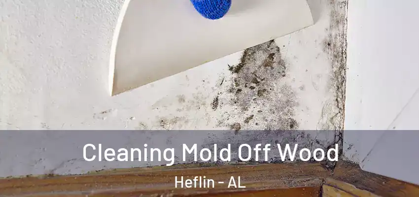 Cleaning Mold Off Wood Heflin - AL