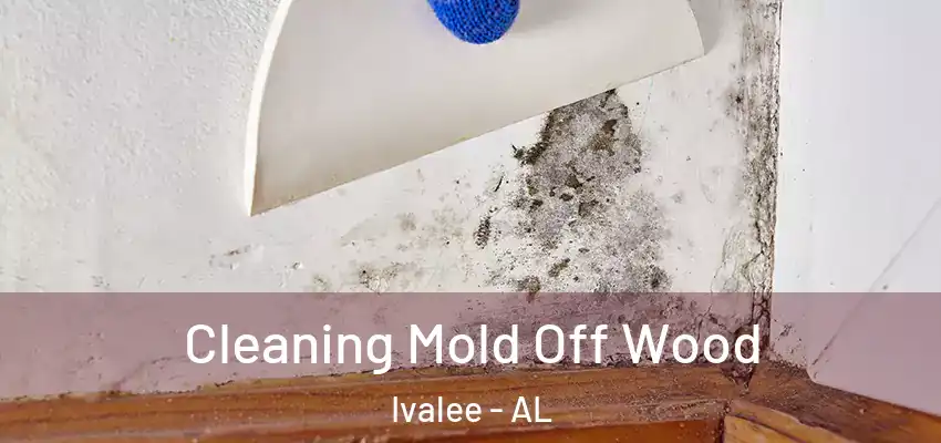  Cleaning Mold Off Wood Ivalee - AL