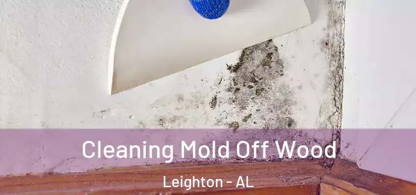 Cleaning Mold Off Wood Leighton - AL