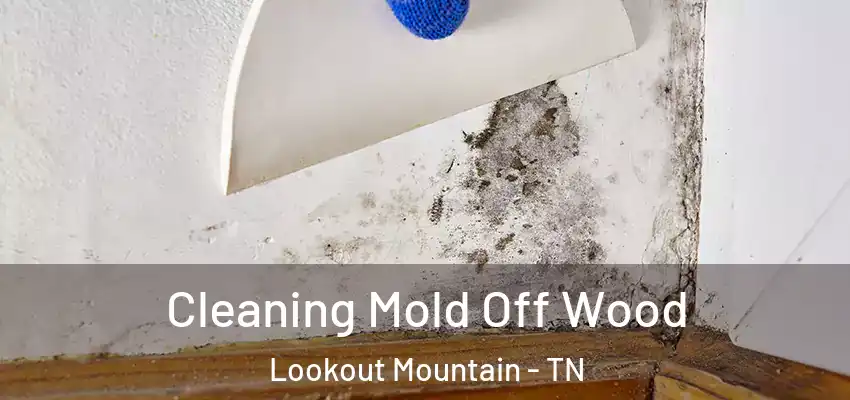 Cleaning Mold Off Wood Lookout Mountain - TN