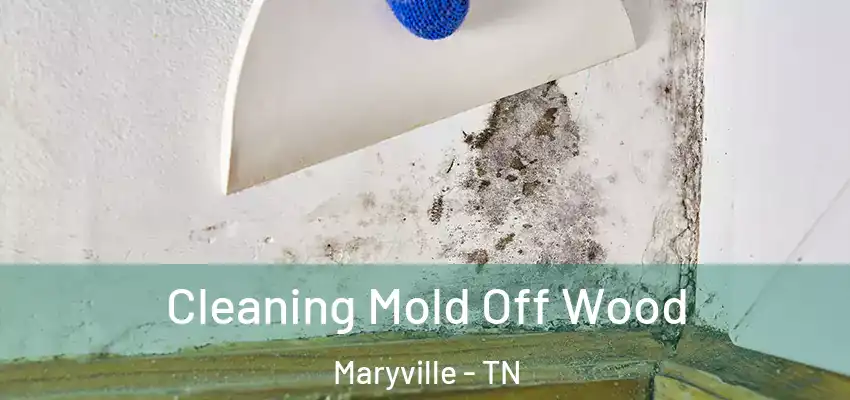 Cleaning Mold Off Wood Maryville - TN