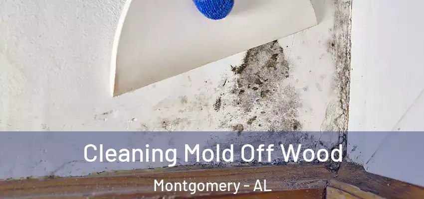  Cleaning Mold Off Wood Montgomery - AL