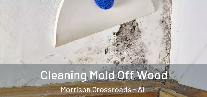 Cleaning Mold Off Wood Morrison Crossroads - AL