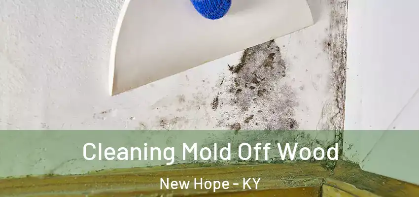  Cleaning Mold Off Wood New Hope - KY