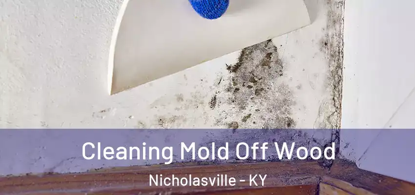  Cleaning Mold Off Wood Nicholasville - KY