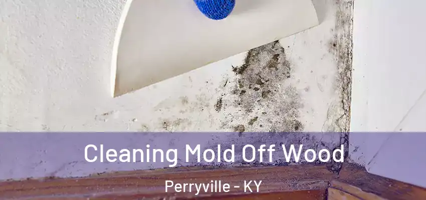 Cleaning Mold Off Wood Perryville - KY