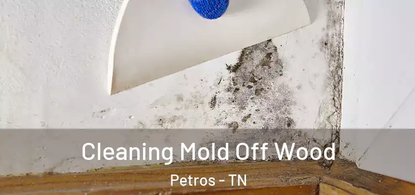 Cleaning Mold Off Wood Petros - TN