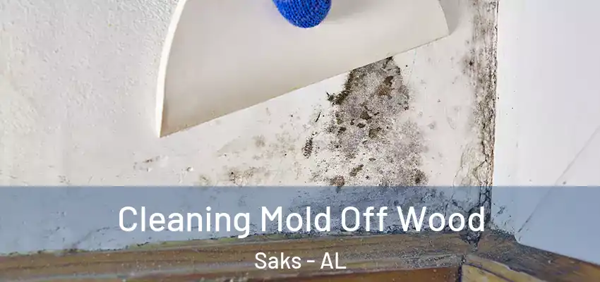 Cleaning Mold Off Wood Saks - AL