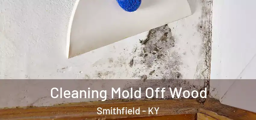 Cleaning Mold Off Wood Smithfield - KY