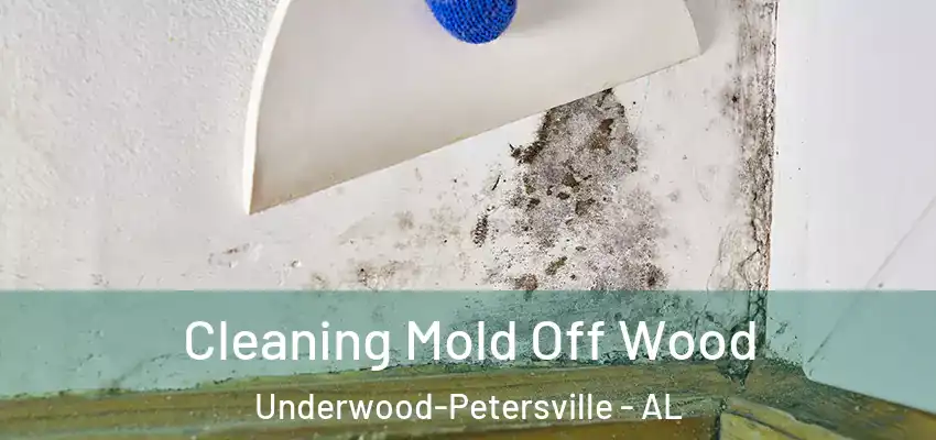 Cleaning Mold Off Wood Underwood-Petersville - AL