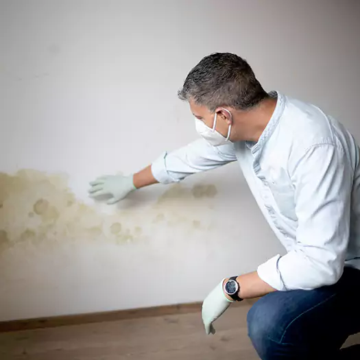 Trusted Mold Remediation and Removal Experts in Atoka, TN