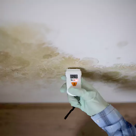 Reliable Mold Inspection Experts in Memphis, TN