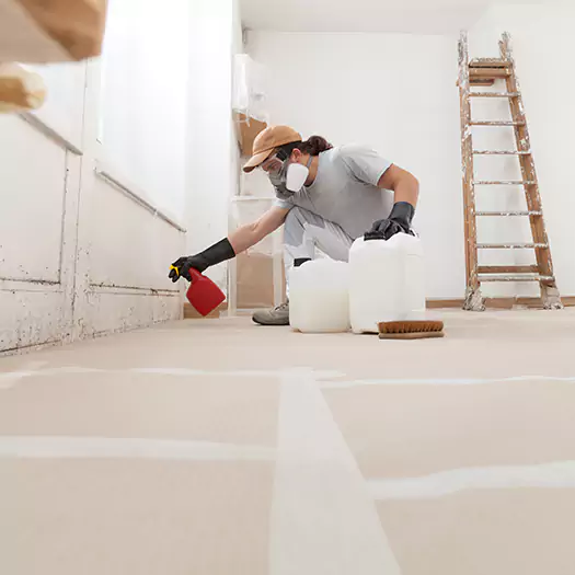 Reliable Mold Stain Remover Specialists in Memphis, TN