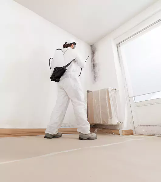 Specialists in All Areas of Mold Remediation and Water Damage Restoration in Atoka, TN