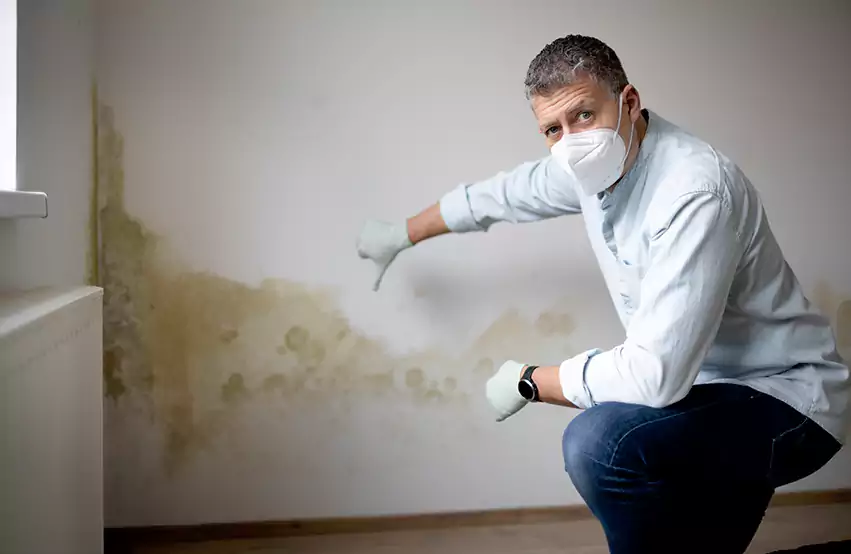Mold Removal in Atoka, TN