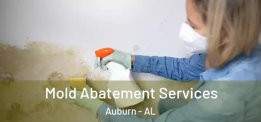 Mold Abatement Services Auburn - AL