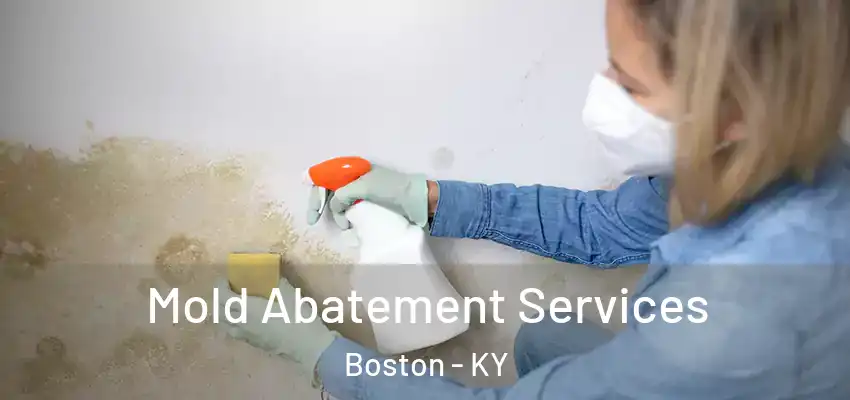  Mold Abatement Services Boston - KY