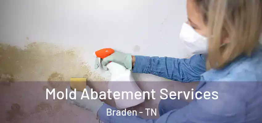  Mold Abatement Services Braden - TN