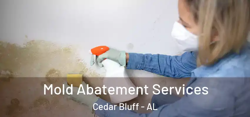  Mold Abatement Services Cedar Bluff - AL