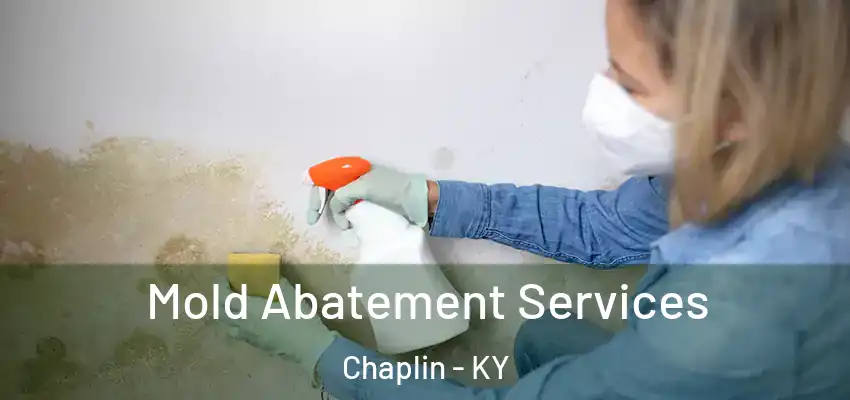  Mold Abatement Services Chaplin - KY
