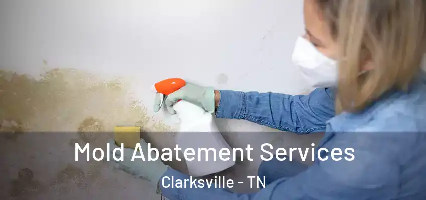  Mold Abatement Services Clarksville - TN