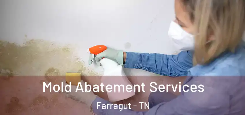  Mold Abatement Services Farragut - TN