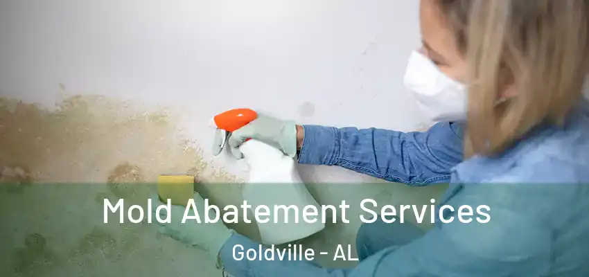 Mold Abatement Services Goldville - AL