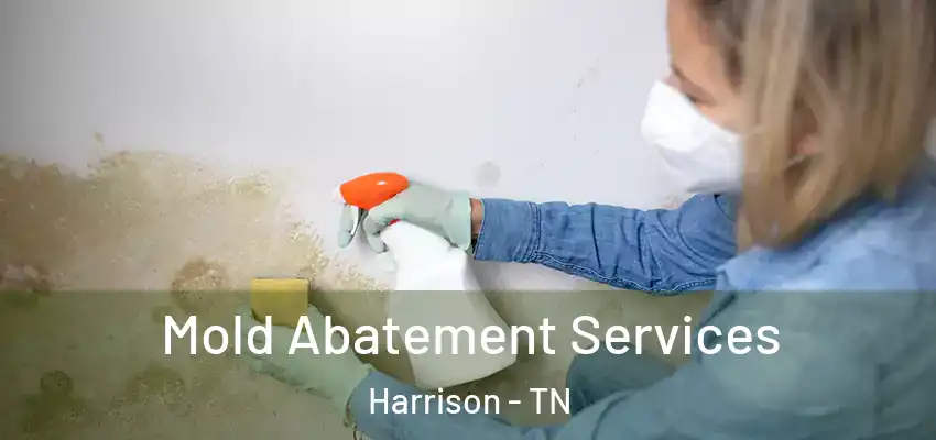  Mold Abatement Services Harrison - TN