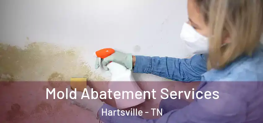 Mold Abatement Services Hartsville - TN