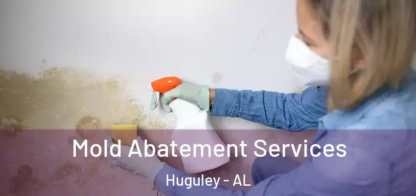 Mold Abatement Services Huguley - AL
