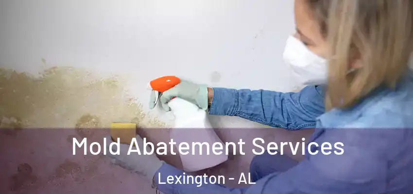 Mold Abatement Services Lexington - AL