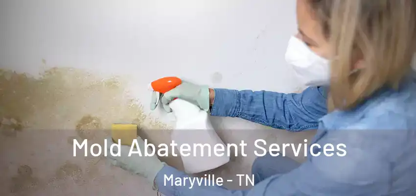  Mold Abatement Services Maryville - TN